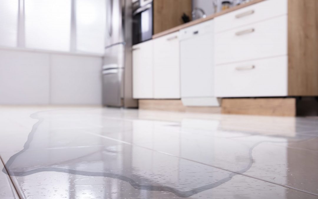 Fix Those Dishwasher Leaks and Never Go Back to Hand Washing