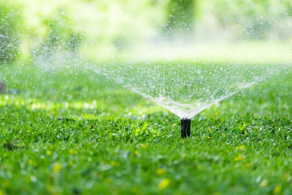 Summer plumbing projects should include proper lawn maintenance like sprinkler systems