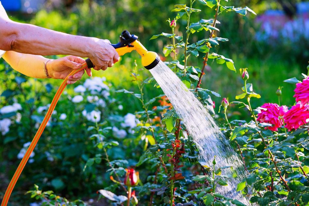 Water saving ideas for your garden starts with watering plants less. While important, plants only need 2 gallons per week.