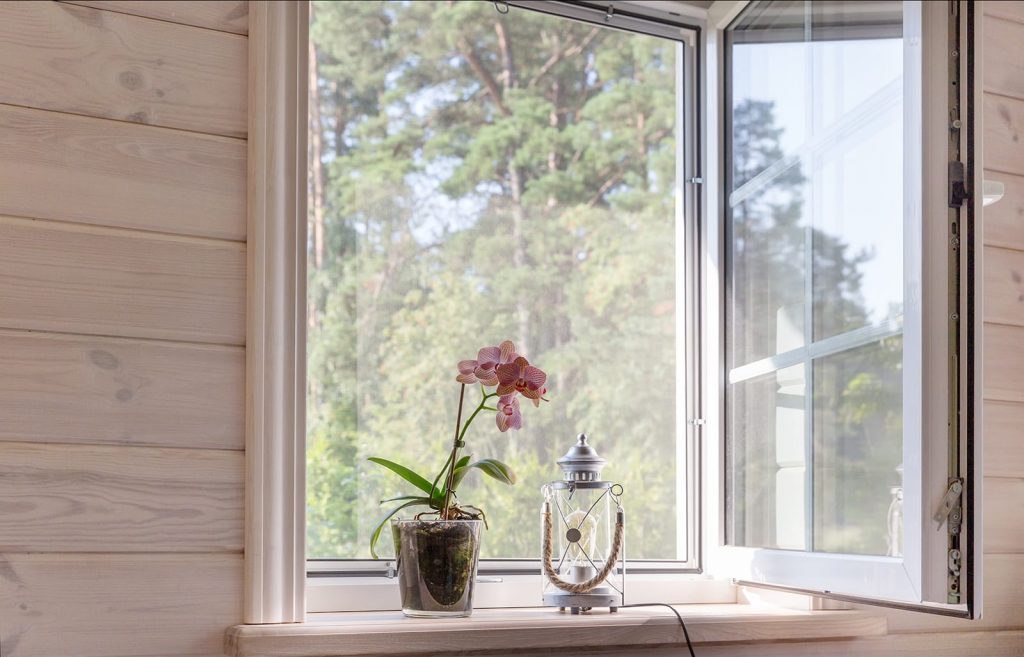 A potted flower sits near a screen window