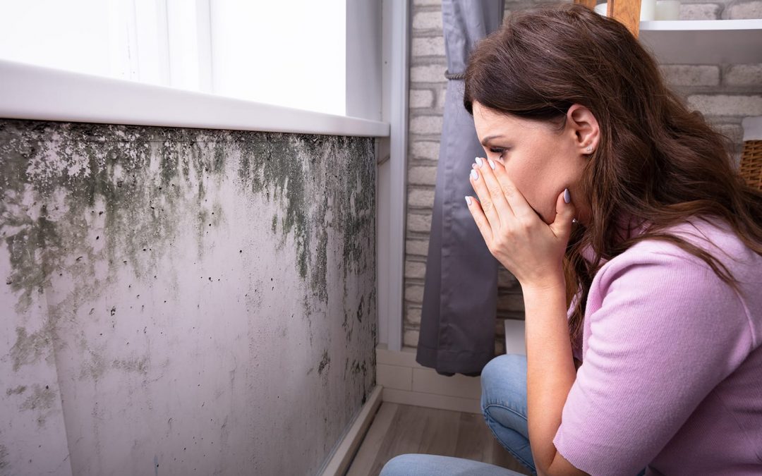 Avoiding Mold Growth in Your Home