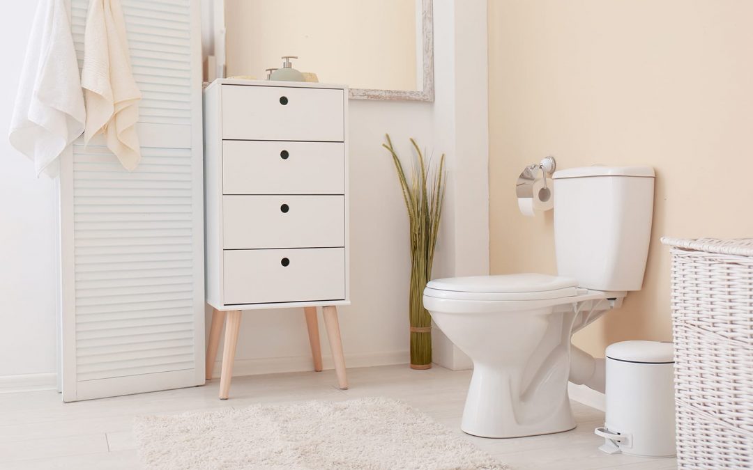 What to Consider When Buying a New Toilet