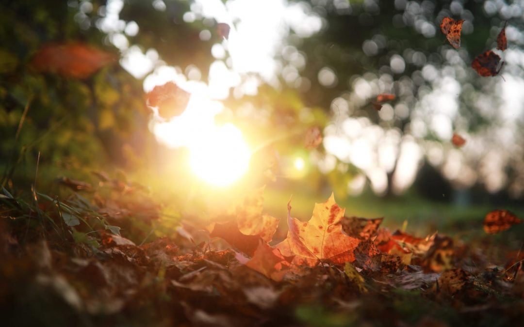 Transition From Summer to Fall With These HVAC Tips
